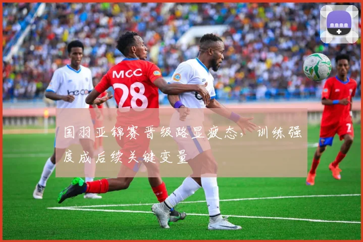 国羽亚锦赛晋级路显疲态，训练强度成后续关键变量