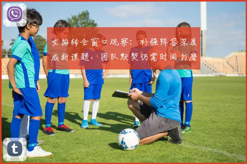 女排转会窗口观察：补强阵容深度成新课题，团队默契仍需时间打磨
