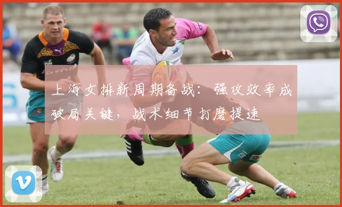 上海女排新周期备战：强攻效率成破局关键，战术细节打磨提速